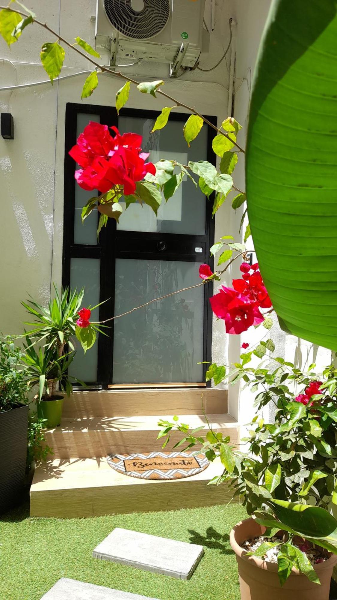 Garden Suite Apartment Palermo Eksteriør billede